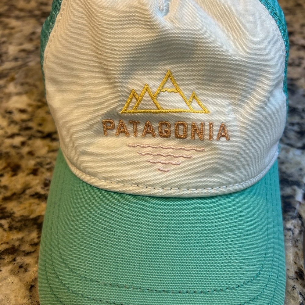 Patagonia Teal and Gray Cap